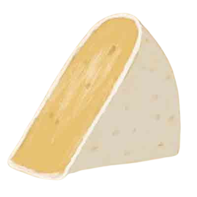 A piece of hand-drawn brie cheese