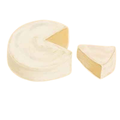 a hand-drawn picture of a piece of Camembert
