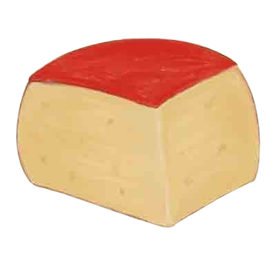 a hand-drawn picture of a piece of Edam