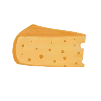 a hand-drawn picture of a piece of Emmental